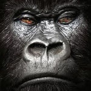 Meet your Posher, Nolano